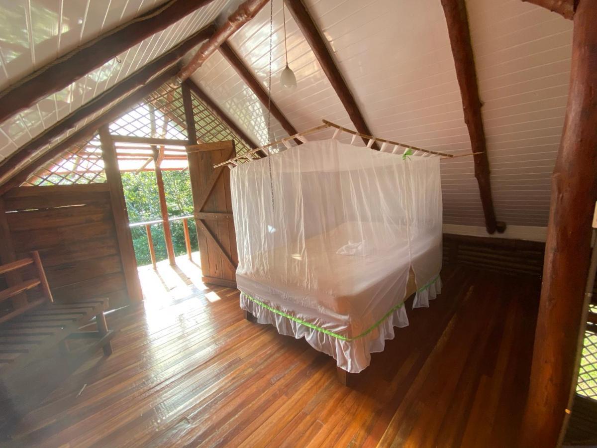 Eco Guest House- Sarapiqui 2 Eksteriør billede